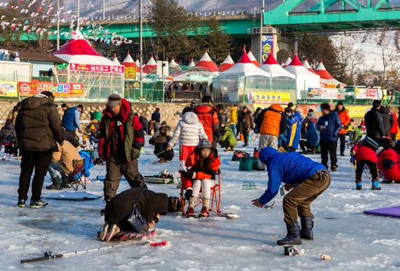 가평 청평 북한강 대성리 송어축제