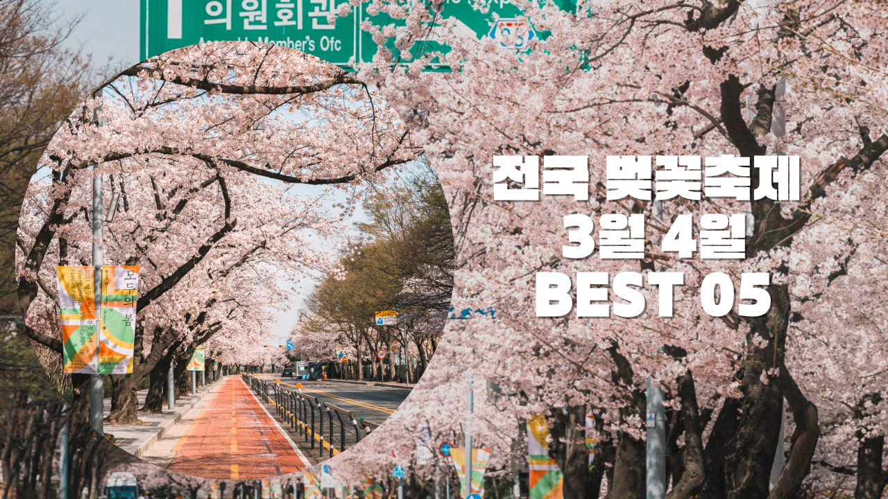 2023 국내 벚꽃개화시기 전국 벚꽃축제 3월 4월 가볼만한곳 BEST 05