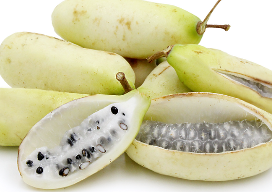 으름 열매 덩굴 나무 효능 부작용