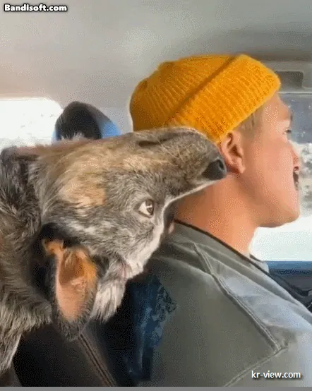 img.webp?credential=yqXZFxpELC7KVnFOS48ylbz2pIh7yKj8&expires=1767193199&allow_ip=&allow_referer=&signature=TkYFTUpfWATfGuvx%2FmrU59ARAU4%3D