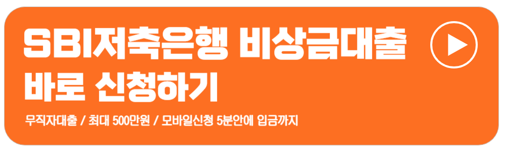 비상금대출중복