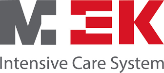 멕아이씨에스_로고