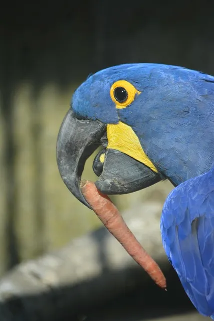 가냘픈 갸날픈 맞춤법 뜻 의미 사용법_4