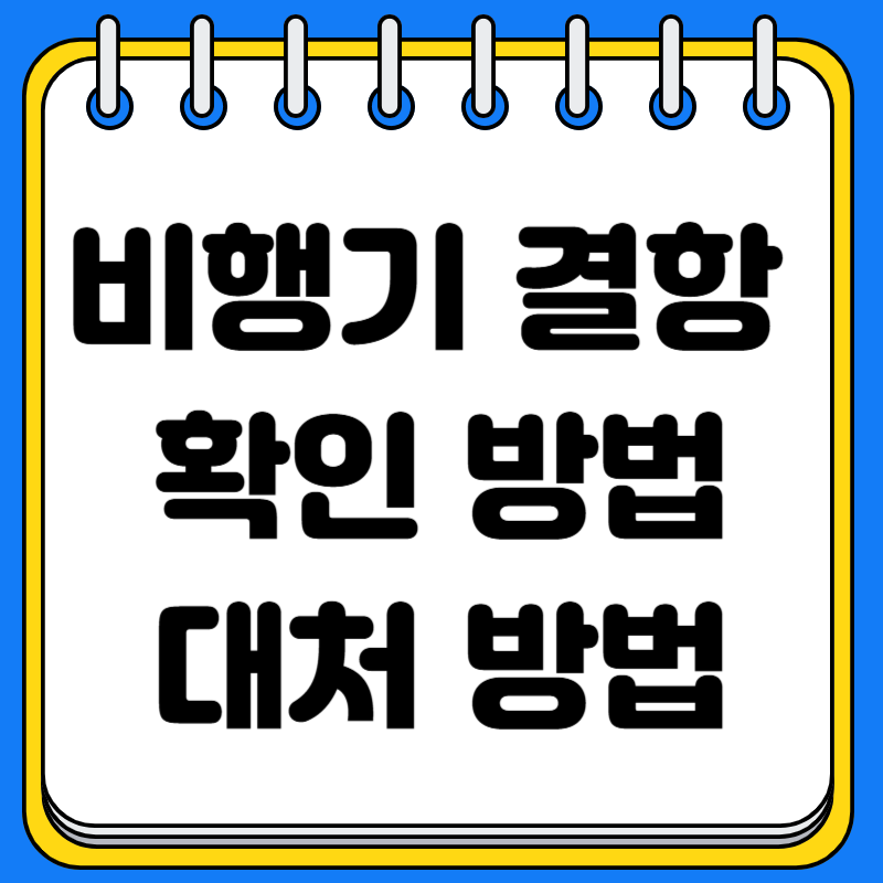 비행기 결항 확인 방법 대처 방법