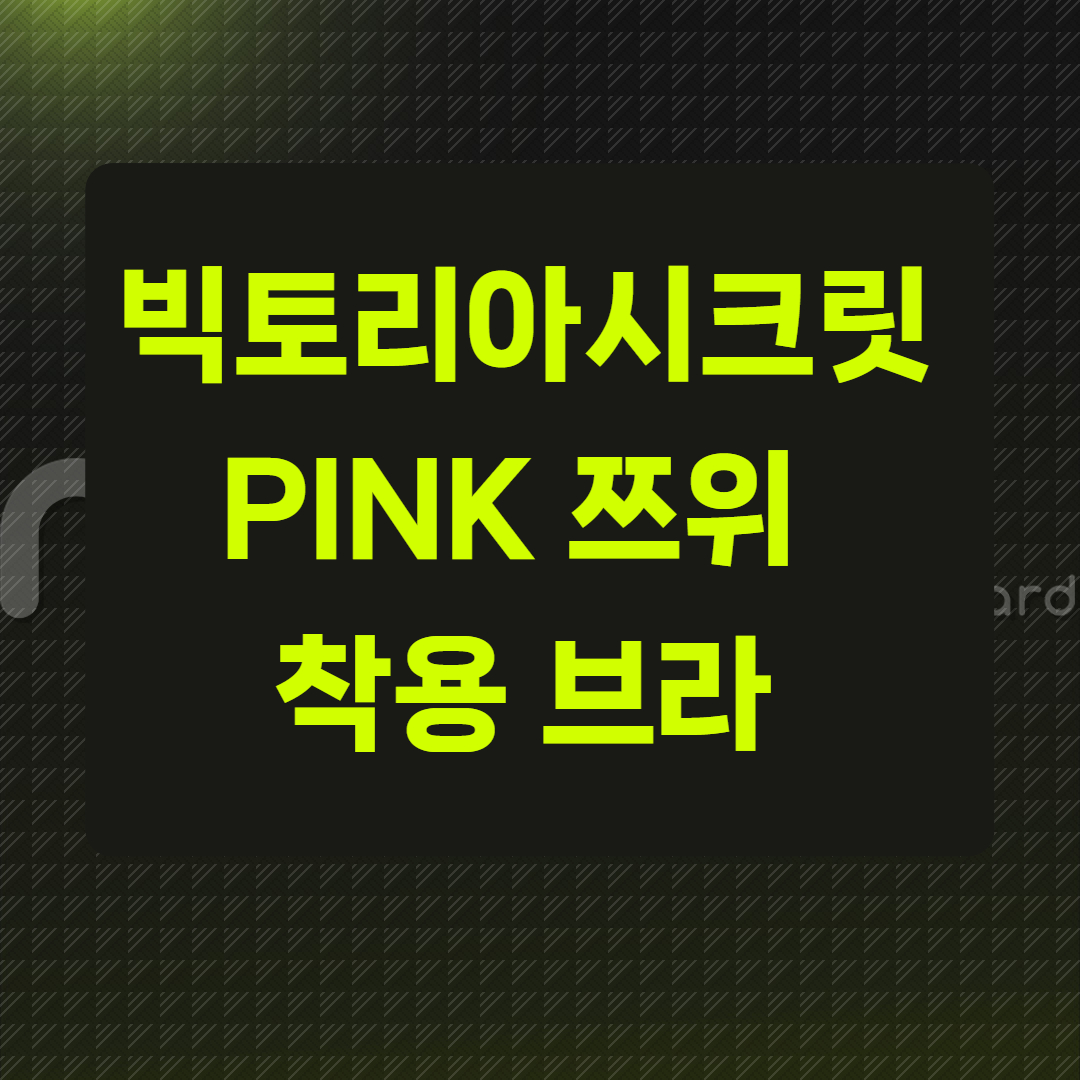 빅토리아시크릿 PINK 쯔위 착용 브라