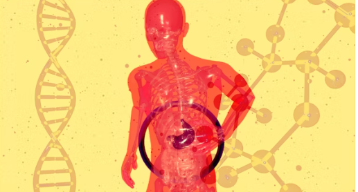 췌장염과 당뇨병: 췌장 기능의 연결고리(혈당조절, 인슐린, 합병증)의 이미지