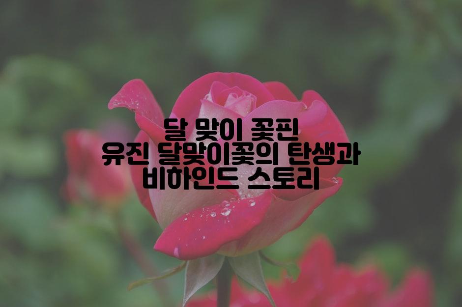 달 맞이 꽃핀 유진 달맞이꽃의 탄생과 비하인드 스토리