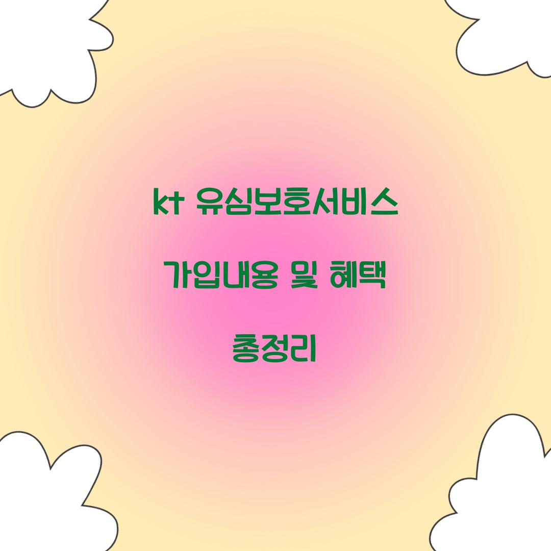 kt 유심보호서비스 가입내용
