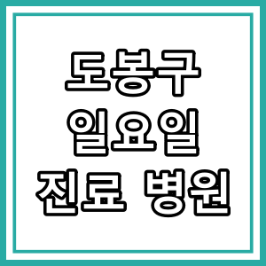 도봉구 일요일 진료 하는 동네 병원