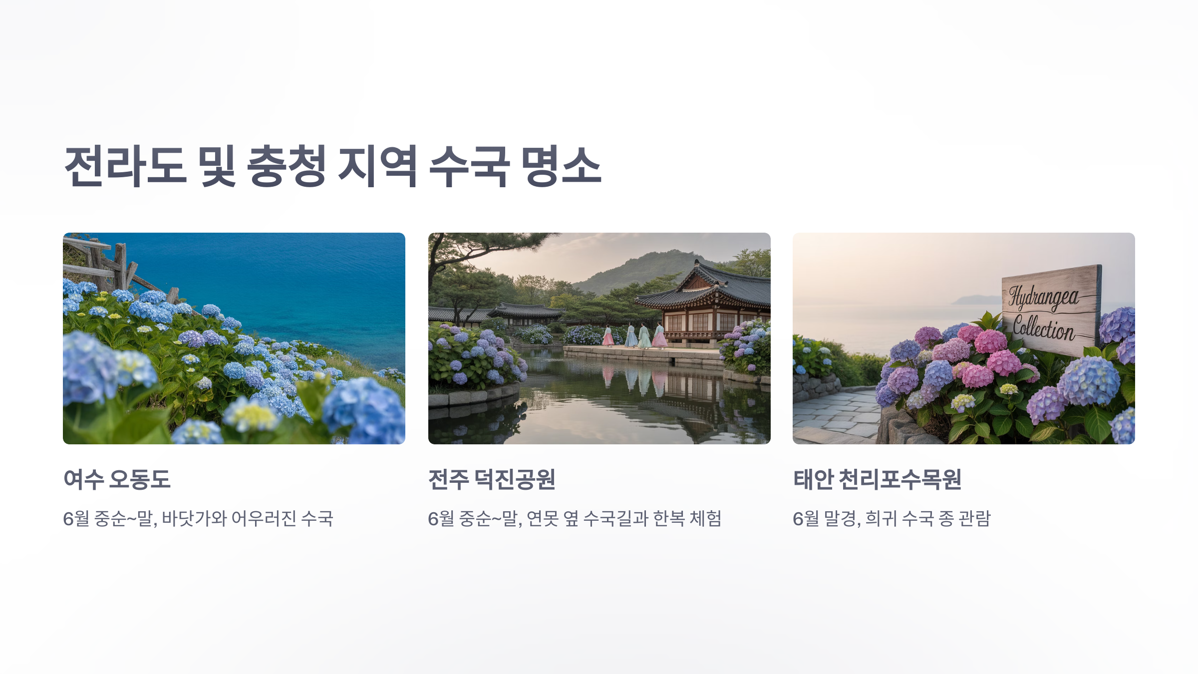 참조-수국-명소-4