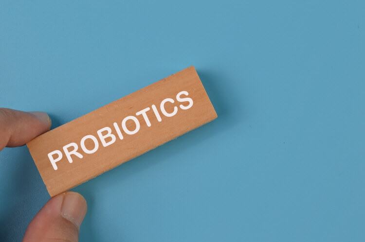 유산균 프로바이오틱스