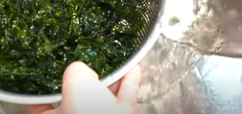 2024 정월 대보름 파래 무침 레시피 소개 및 파래 