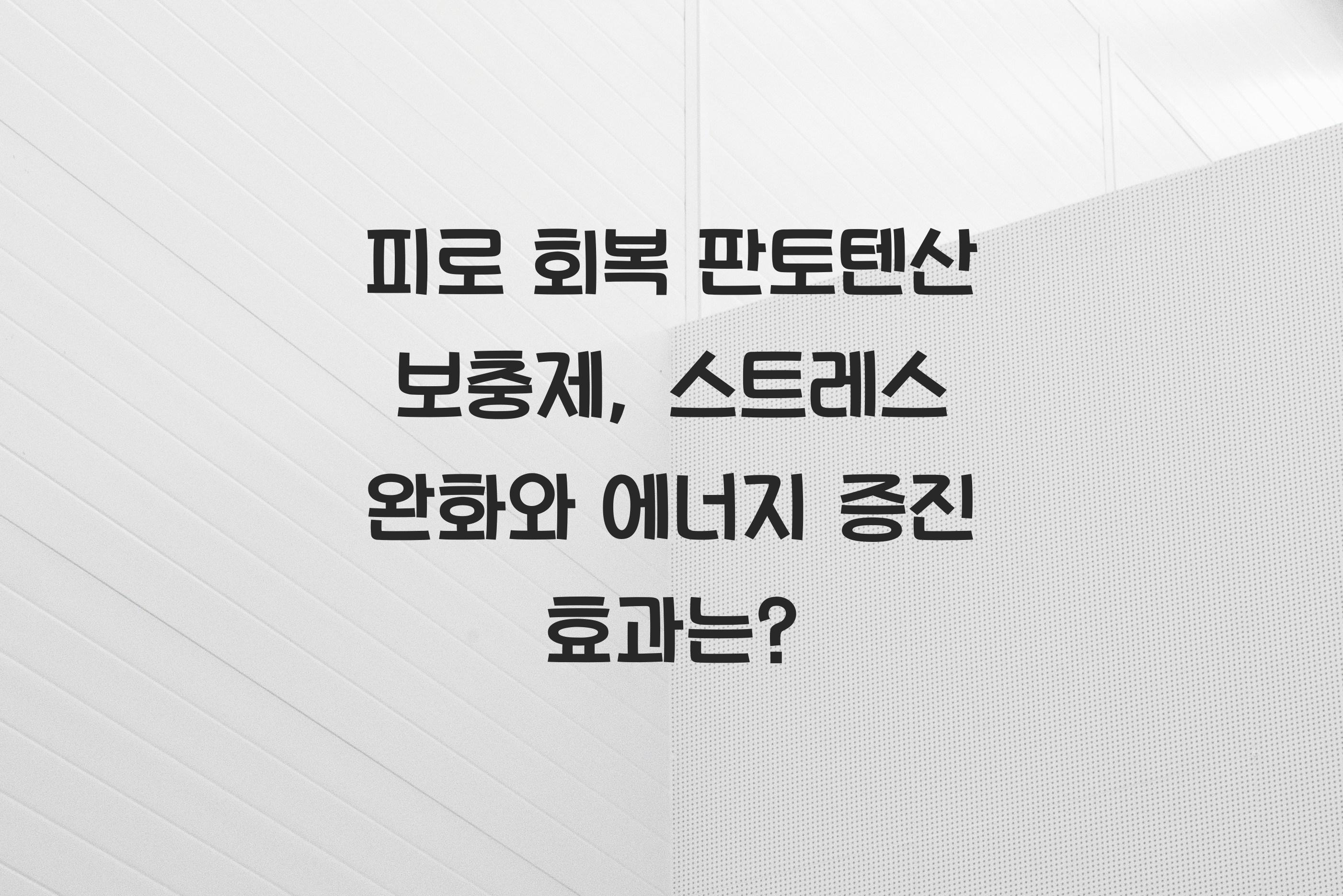 피로 회복 판토텐산 보충제