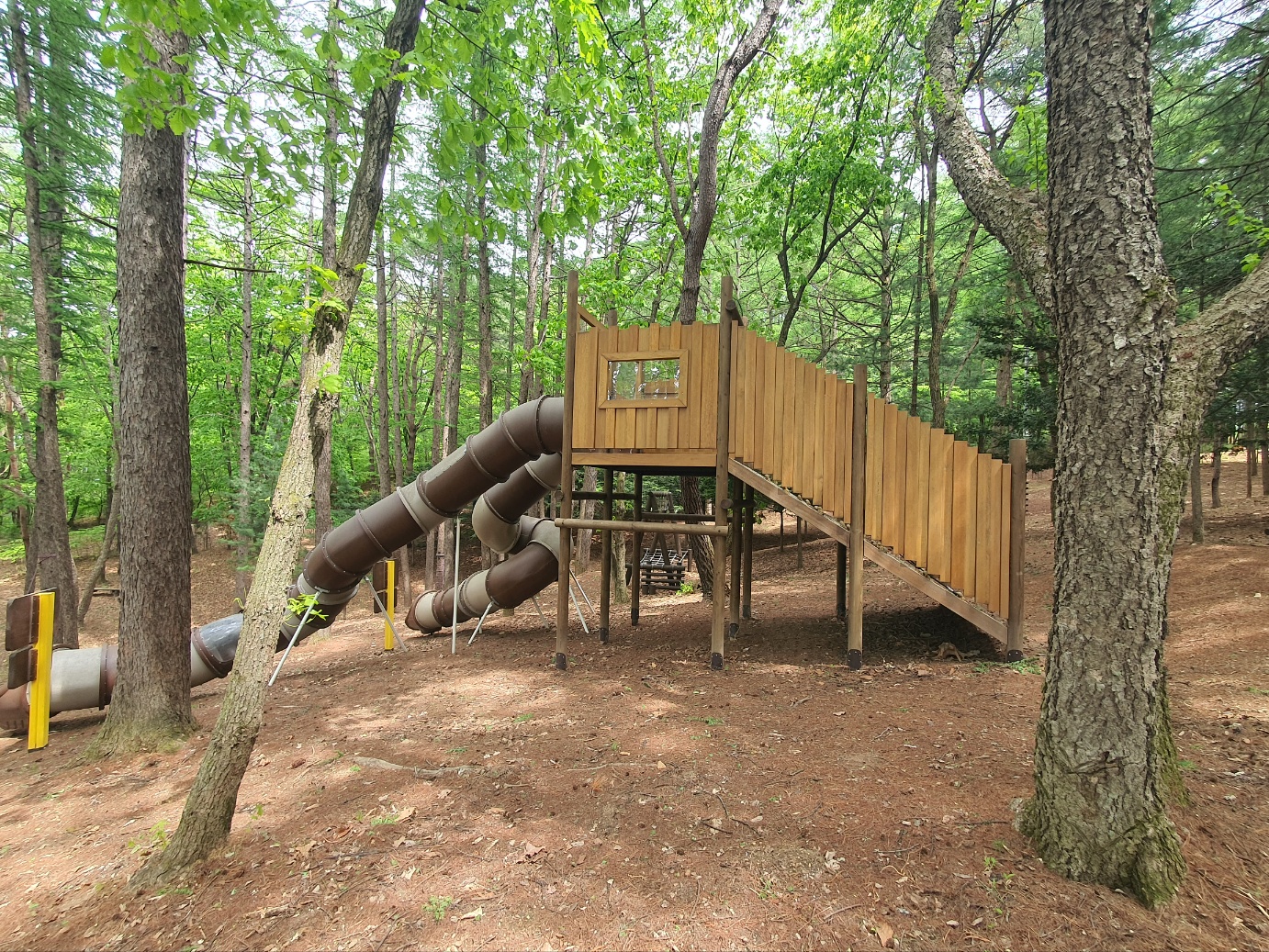 봉래산산림욕장