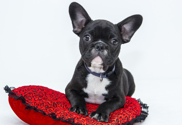 오늘의 운세 11월 2일