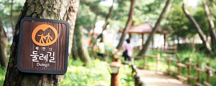 2025/2026 휘닉스파크 평창 스키장 시즌패스 완벽 가이드