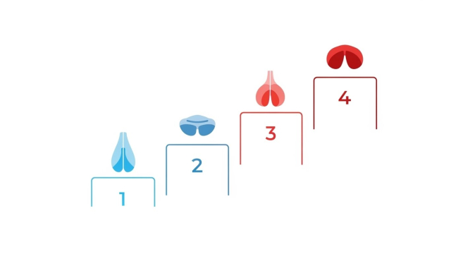 전립선암 진단 단계 요약