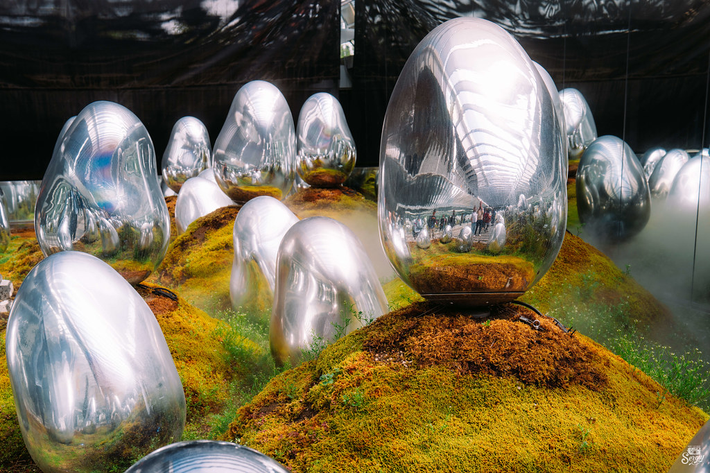 2026 도쿄 토요스 팀랩 플래닛 전시 티켓 예약 가는법