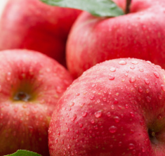 청송사과 고르는 법