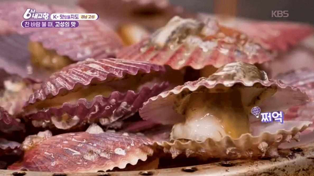 [6시내고향]경남 고성 제철 홍가리비 &amp;#39;계림새우나라&amp;#39; 예약 위치 연락처 정보