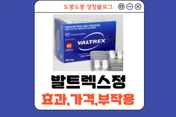 발트렉스정 안내 이미지