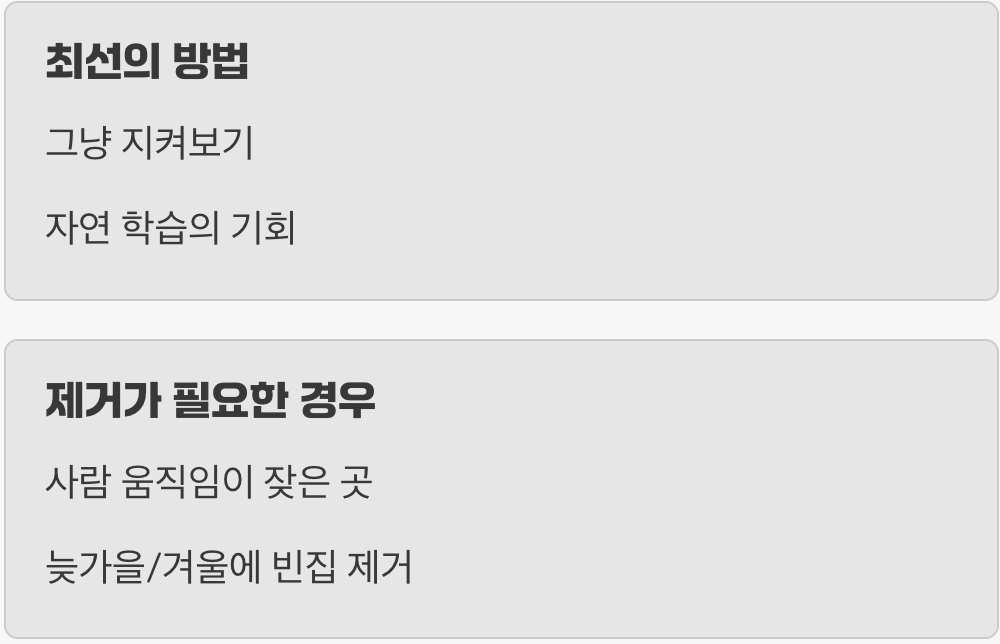 5. 우리 집에 찾아온 손님, 어떻게 대할까?