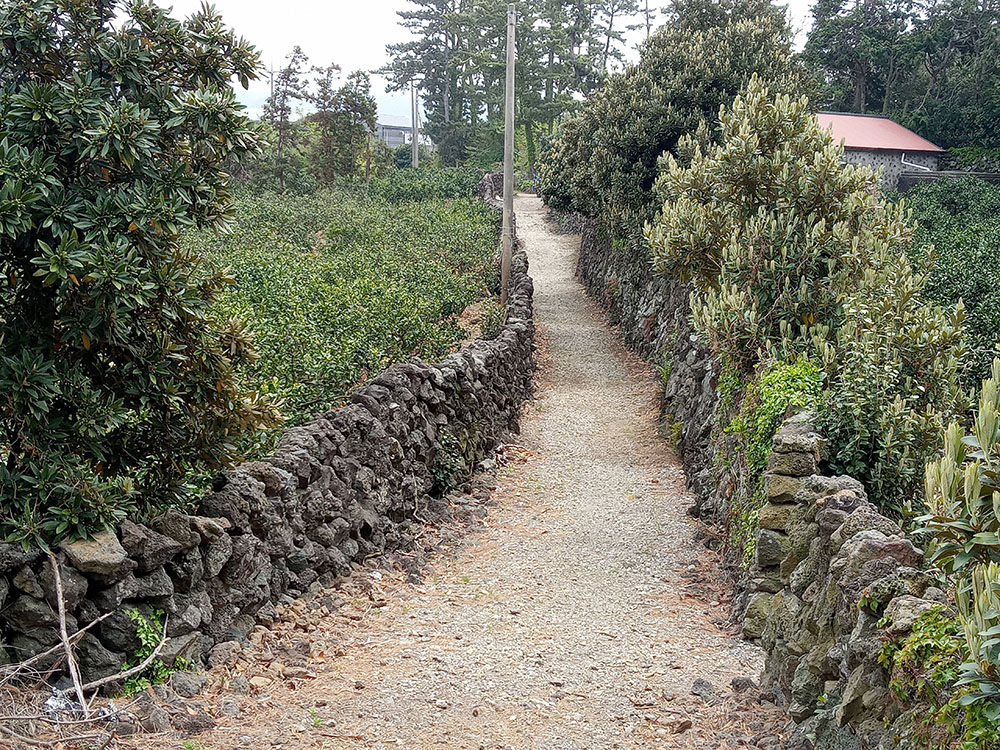 올레15A코스: 고내포구에서 한림항까지