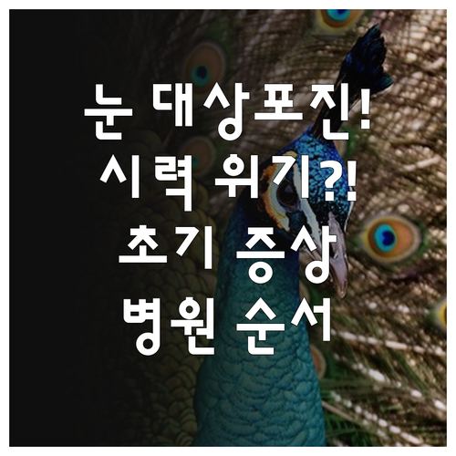 시력 보호를 위한 눈 대상포진 대처법..