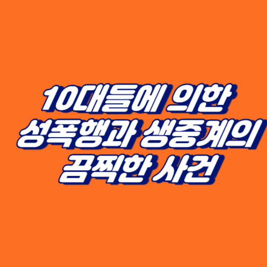 10대들에 의한 성폭행과 생중계의 끔찍한 사건