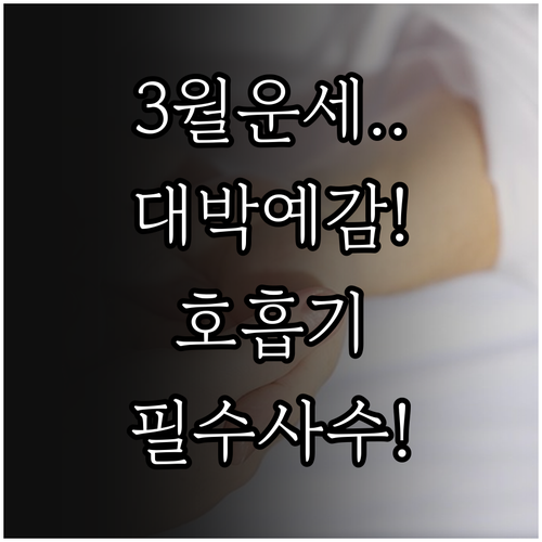 1933년생 3월 운세 전망과 환절기..