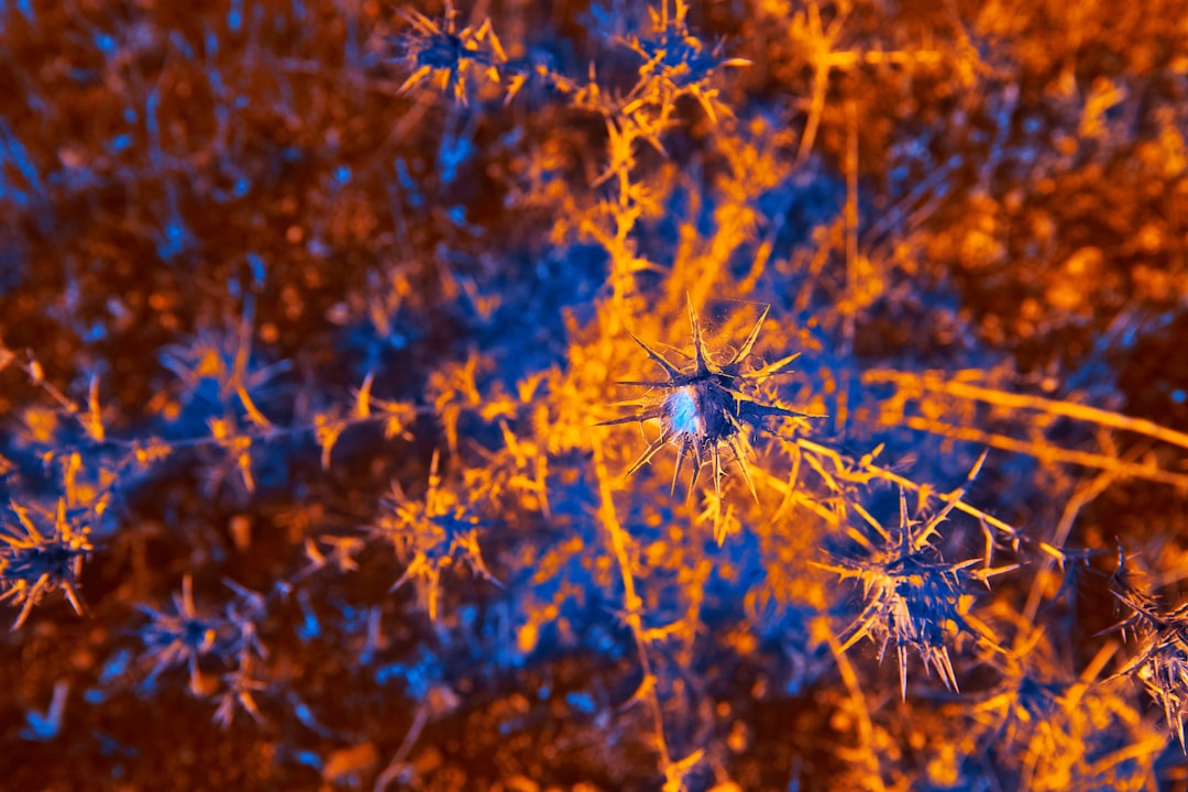 Neuromorphic
