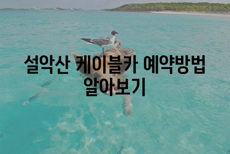 샘플 (1)