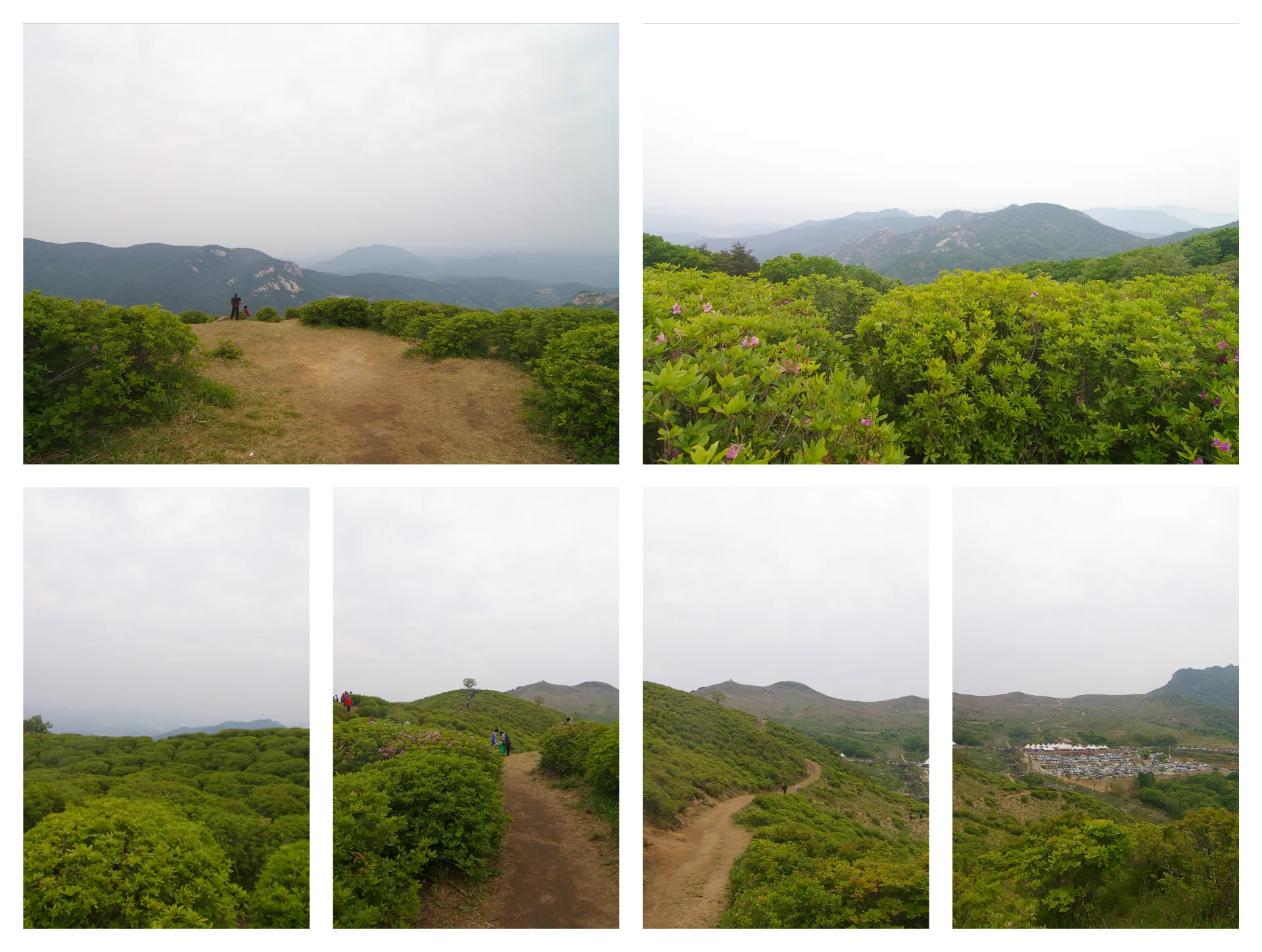 여름 황매산