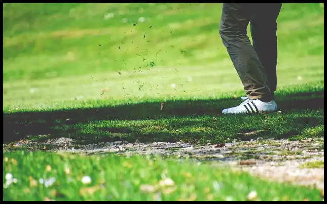 파크골프 경기규칙 (+ ob처치 방법 )