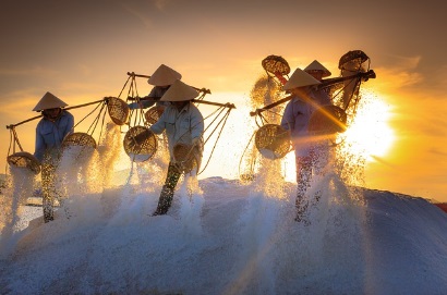 온라인 노조 출범 - 가입대상 방법 주요활동 프리랜서 구직자도
