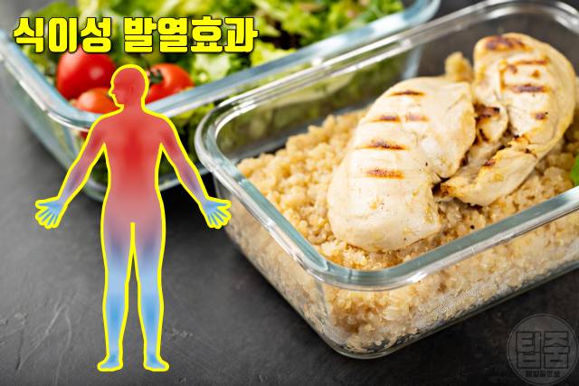 신진대사 높이는 방법 단백질 식단