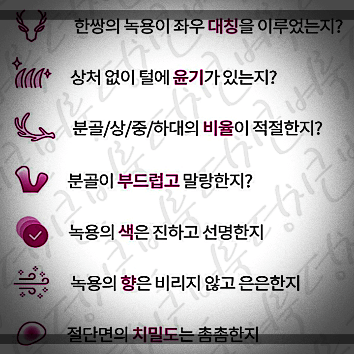 녹용-구별-방법