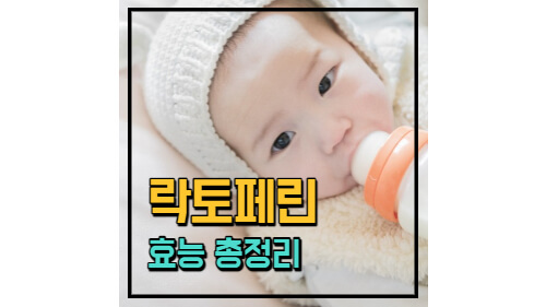 포스팅 썸네일