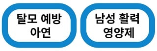 남성 탈모 치료