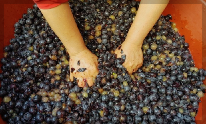 포도주-담그는-방법