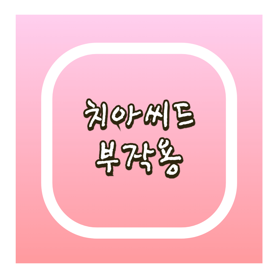 치아씨드 부작용