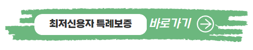 기대출과다자 추가대출 서민금융진흥원 최저신용자 특례보증