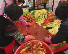 김장배추-사진6