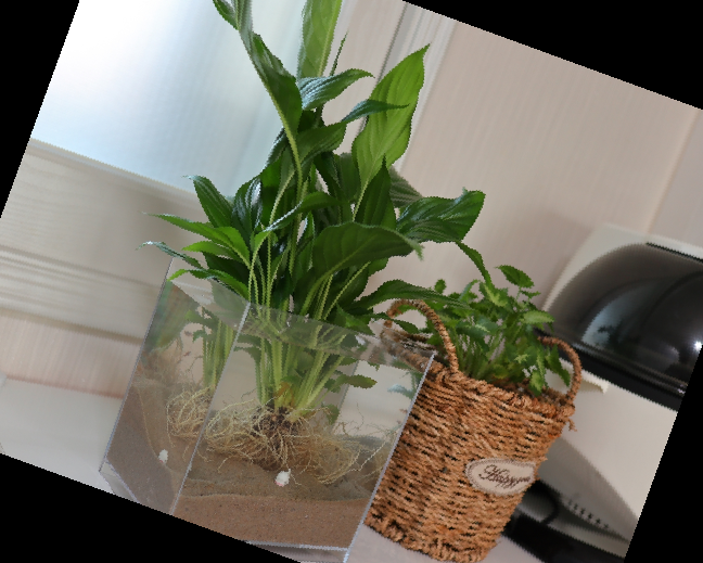 실내 공기정화식물 순위