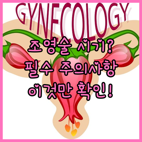 나팔관 조영술 적정 시기 및 검사 전..