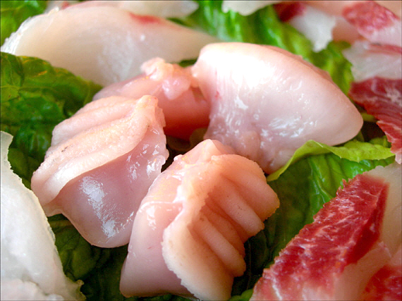 12월 국내 여행지 추천! 전북 부안 설(雪)숭어 축제 2025