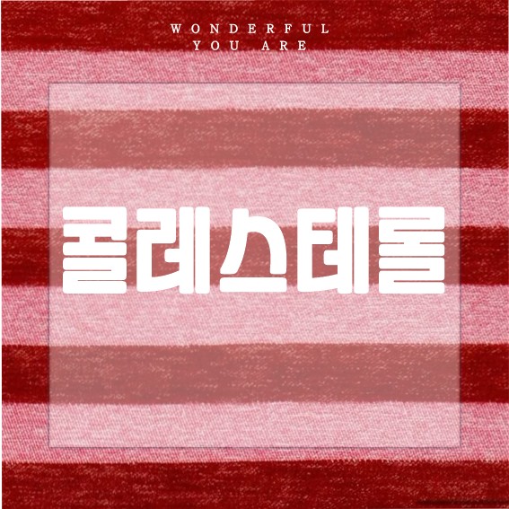 콜레스테롤 낮추기 완전 가이드