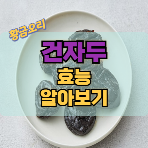 건자두(푸룬)에 대하여 효능 및 주의사항 알아보기