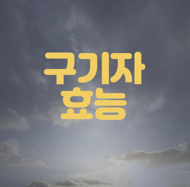 구기자 효능