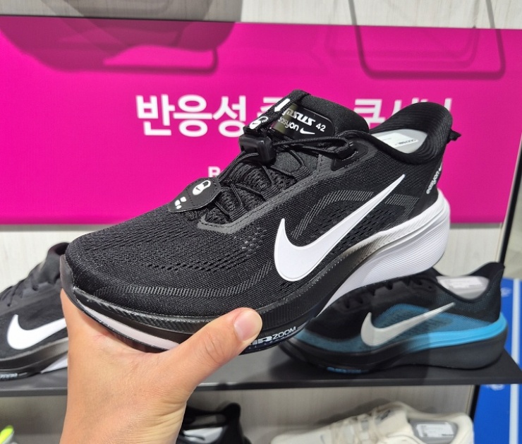 나이키 페가수스42 이지온
